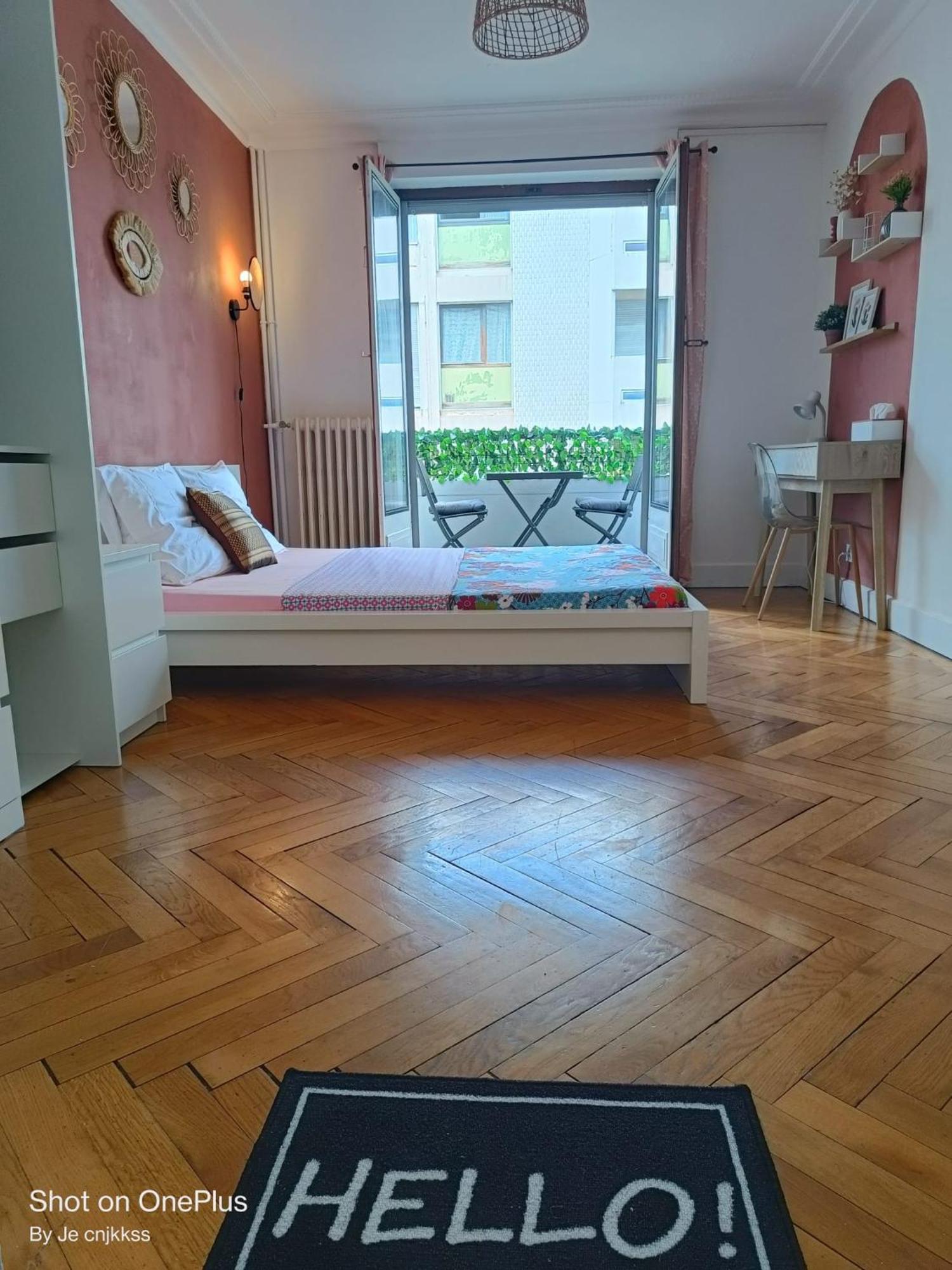 Belle D'hote Avec Balcon Prive - 3 Mins Gare - Geneve Acces Direct * Annemasse